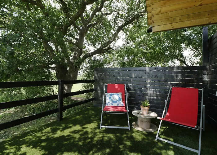 Under The Oak Tree Shepherd's Hut * Bristol